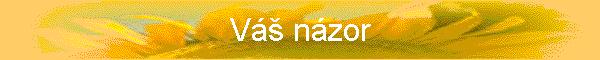V nzor